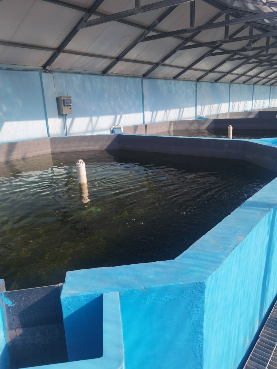 Aerobic increase exposure to aerobics in aquaculture systems equipment for indoor nursery plants