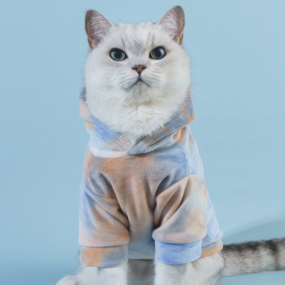 抱猫撸猫大狗小型狗宠物衣服狗狗猫咪通用宠物保暖衣服薄款卫衣