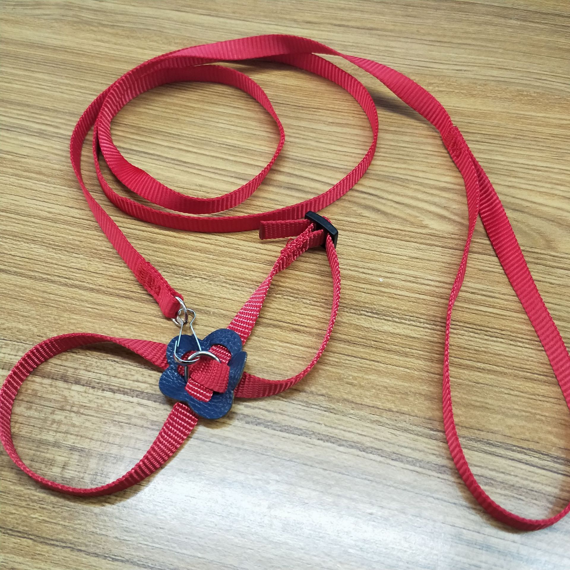 Một con chuột lôi một con lợn Hà Lan vào ngực.