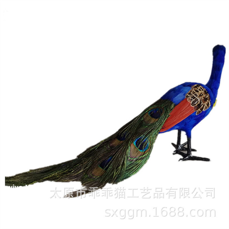 그것은 peacock 깃털 처럼.