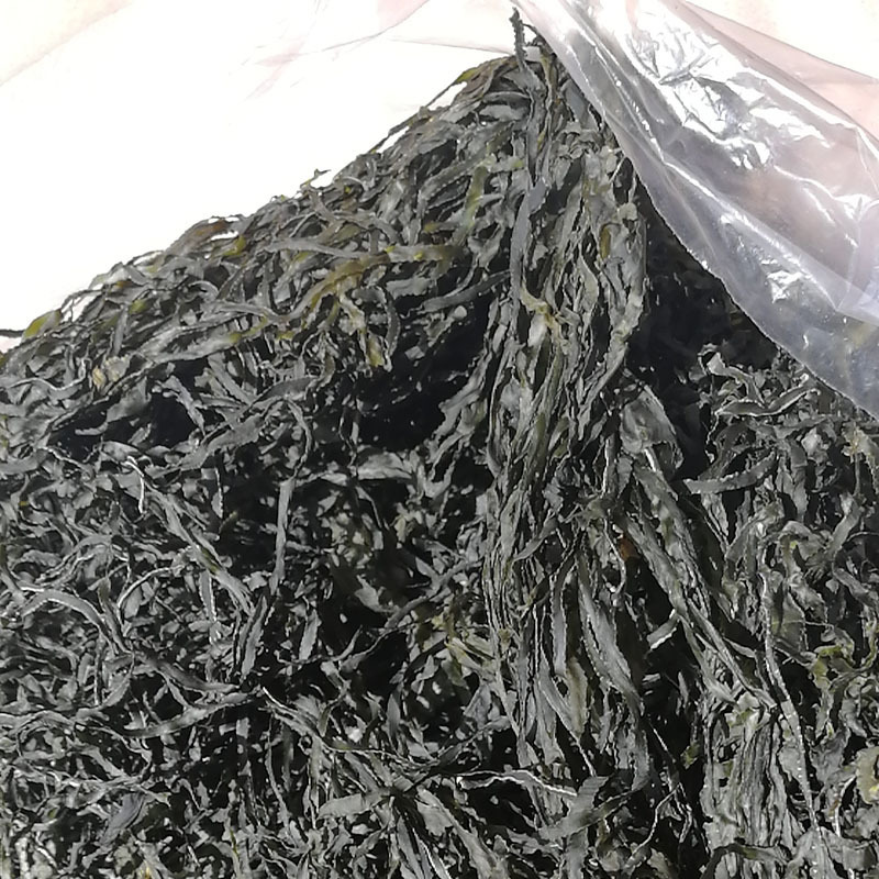 Hải Kỳ. Thành phố làm khô biển mà không có cát "Wendwidth"