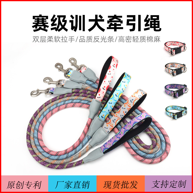 Hàng loạt trái cây mới phân loại thú cưng với vòng cổ chó với con chó phản chiếu kéo