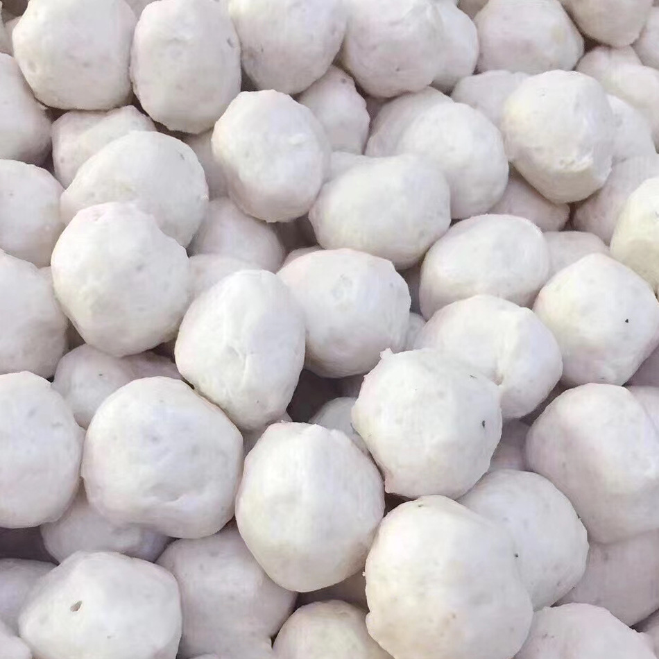 Cá đông lạnh và quả cầu đóng băng đang trong quá trình sản xuất 250 gg thịt cay.
