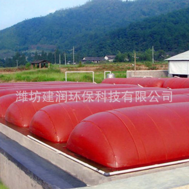 Plants supply red mud biogas ponds, rural pvc biogas ponds, large-scale mollusc bovine biogas bags.