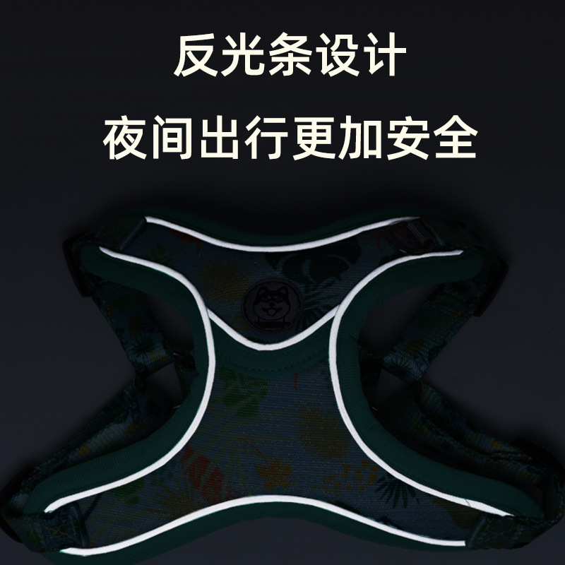 Những con thú nuôi mới với một con chó hồi tưởng lại còn hơn là những con gấu được ghép lại để bảo vệ chúng khỏi con chó kéo.