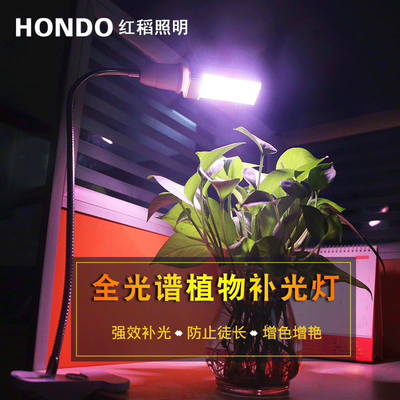 Amazon explosion LED plant lamp interior LED patches full spectral plant growth lamps