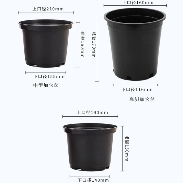 [Những chất dẻo dư luận] Một cái đĩa Gallon với một cái nồi làm vườn tái màu đen dày.