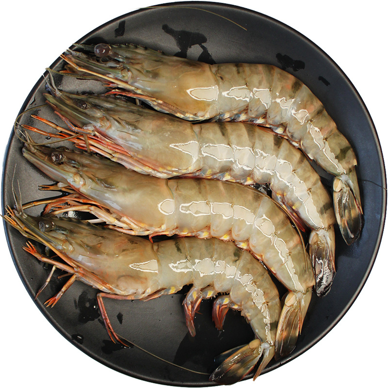 Black Tiger Shrimp Shrimp, trực tiếp, các tiệc buffet đông lạnh, tôm tôm lớn thu nhỏ bằng sắt và thép.