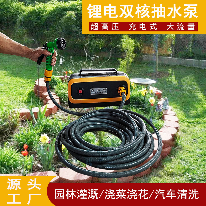 Global selection: Lithium Pump Double Nuclear Pump Agricultural Lithium Pump Water Pump