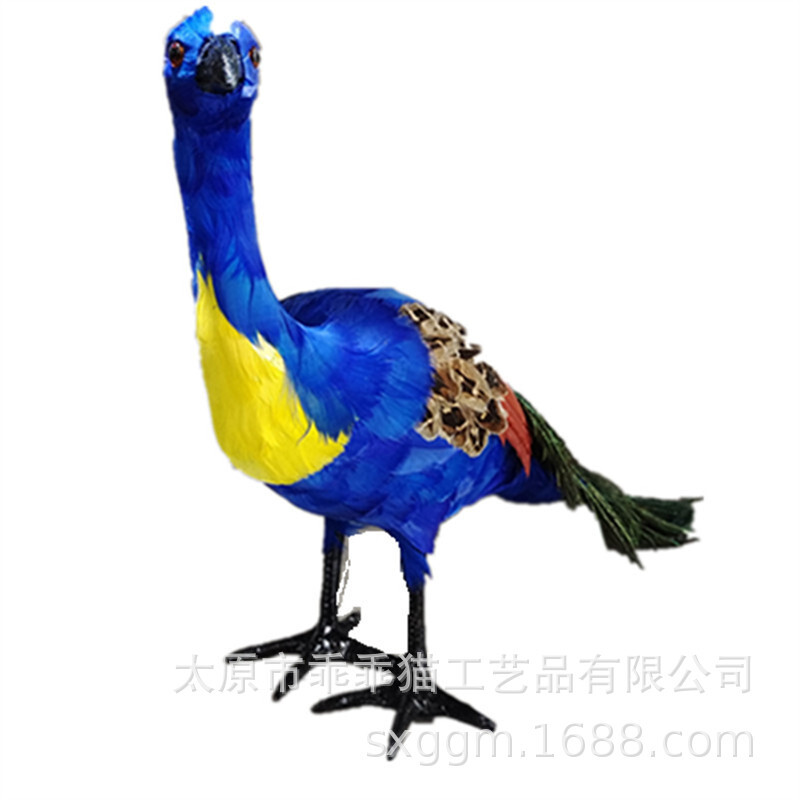 그것은 peacock 깃털 처럼.