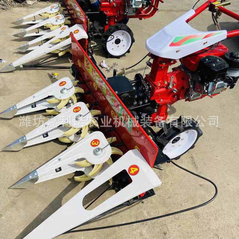 Mini-screw reed harvester, sorghum, soybeans multi-croper.