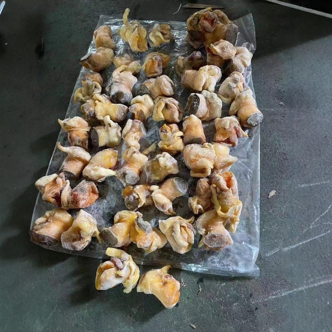 Hoa Kỳ conch conch, một màu vàng đặc, súp conch đông lạnh, nhiều chi tiết khác nhau 4,5 kg*4 gói/box