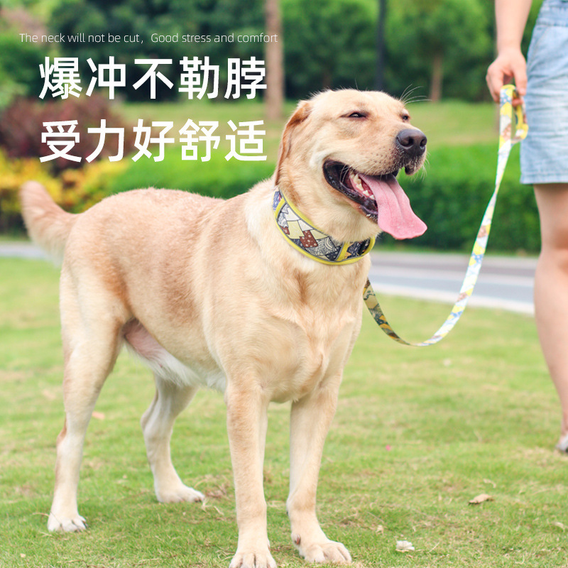 Con chó con vòng, con chó lớn, con chó nhỏ đã đóng dấu bong bóng, con chó ngoài kia huấn luyện cổ áo.