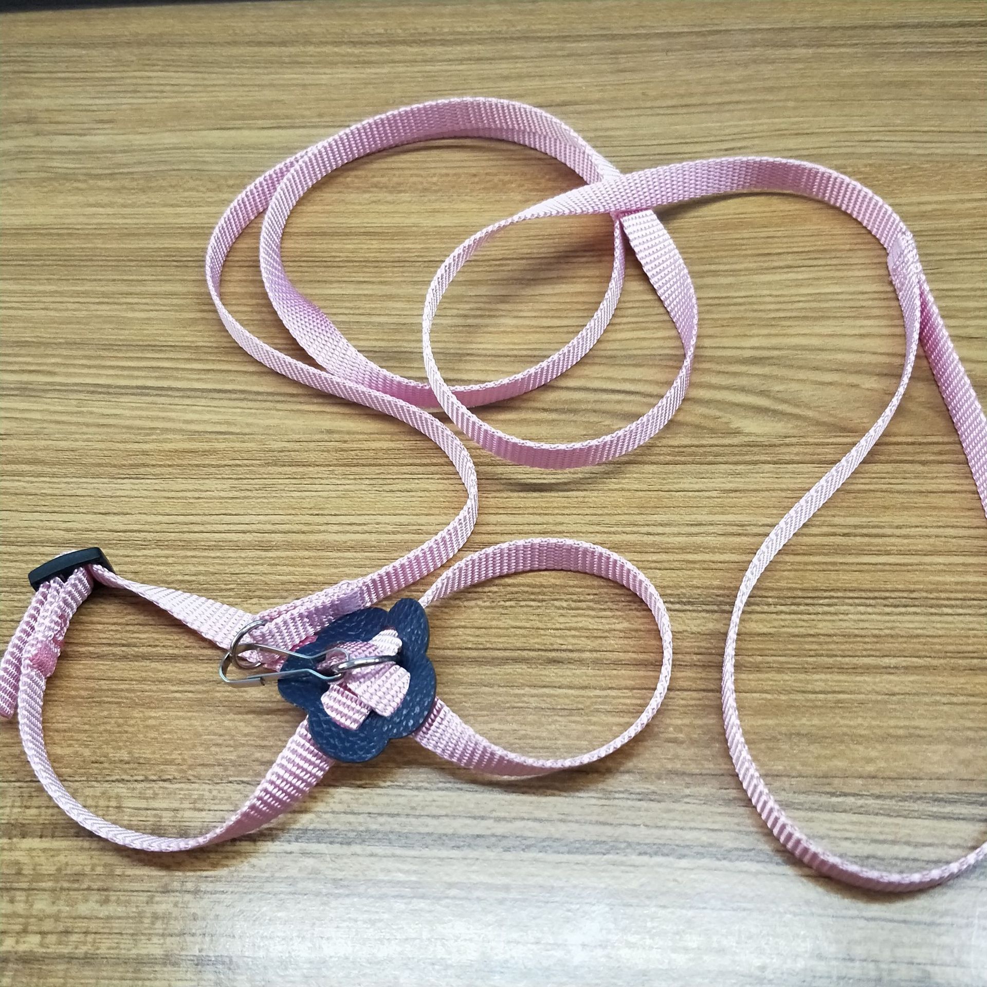 Một con chuột lôi một con lợn Hà Lan vào ngực.