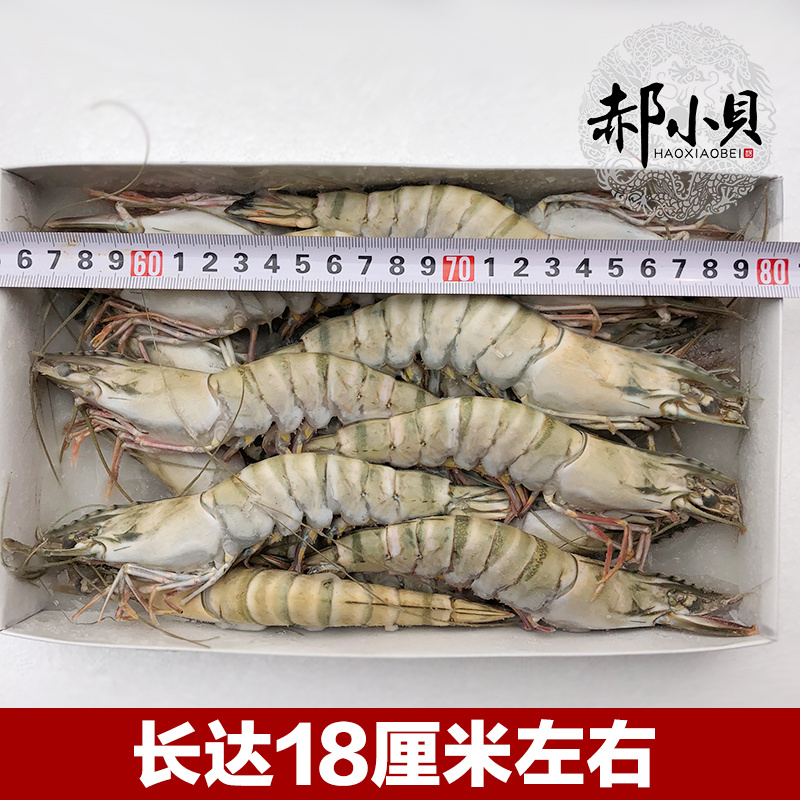 Srimp Srimp Srimp, สดบุฟเฟ่ต์แช่แข็ง กุ้งกุ้งขนาดใหญ่หดตัวบนเหล็กและเหล็ก