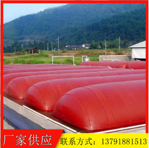 Plants supply red mud biogas ponds, rural pvc biogas ponds, large-scale mollusc bovine biogas bags.