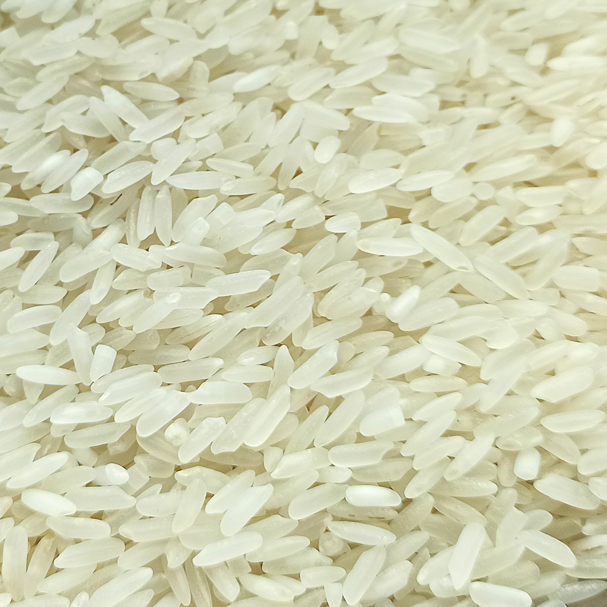 In 2023, the rice-resulting rice was distributed to a rice-packed, vacuum-packed rice brick factory.