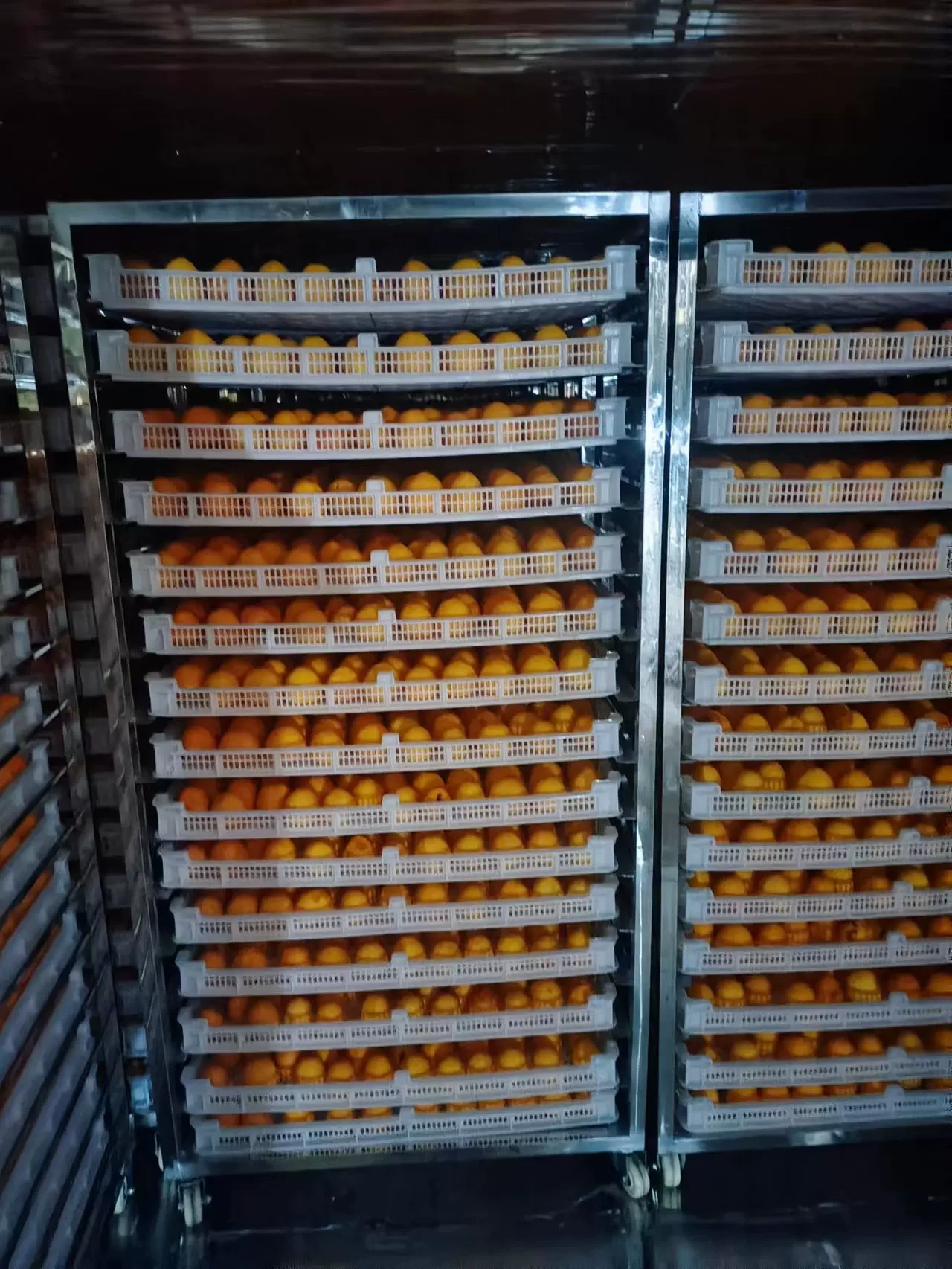 Zhengxi Zeng Food Co. Ltd.