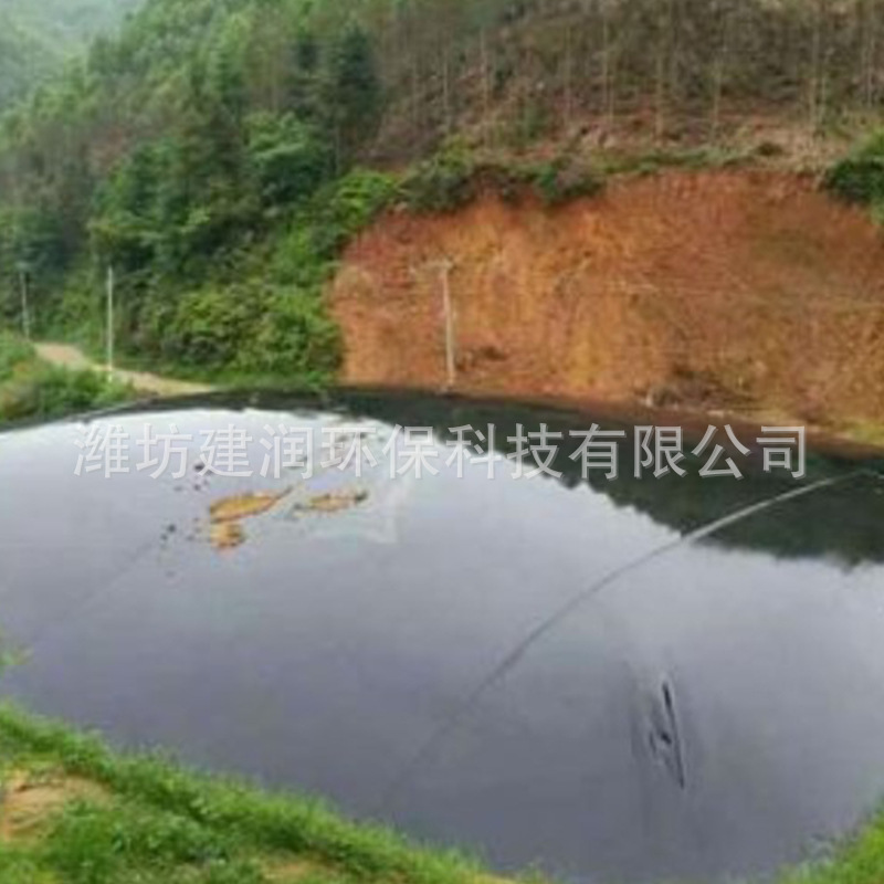 Plants supply red mud biogas ponds, rural pvc biogas ponds, large-scale mollusc bovine biogas bags.