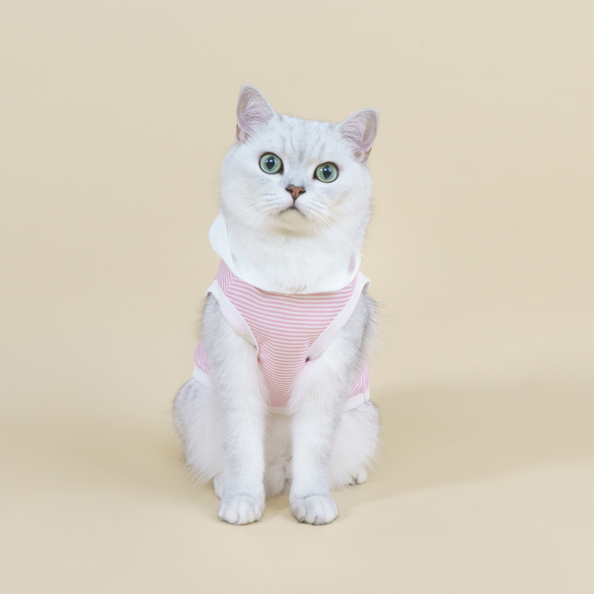 抱猫撸猫大狗小型狗宠物衣服狗狗猫咪通用宠物保暖衣服薄款卫衣