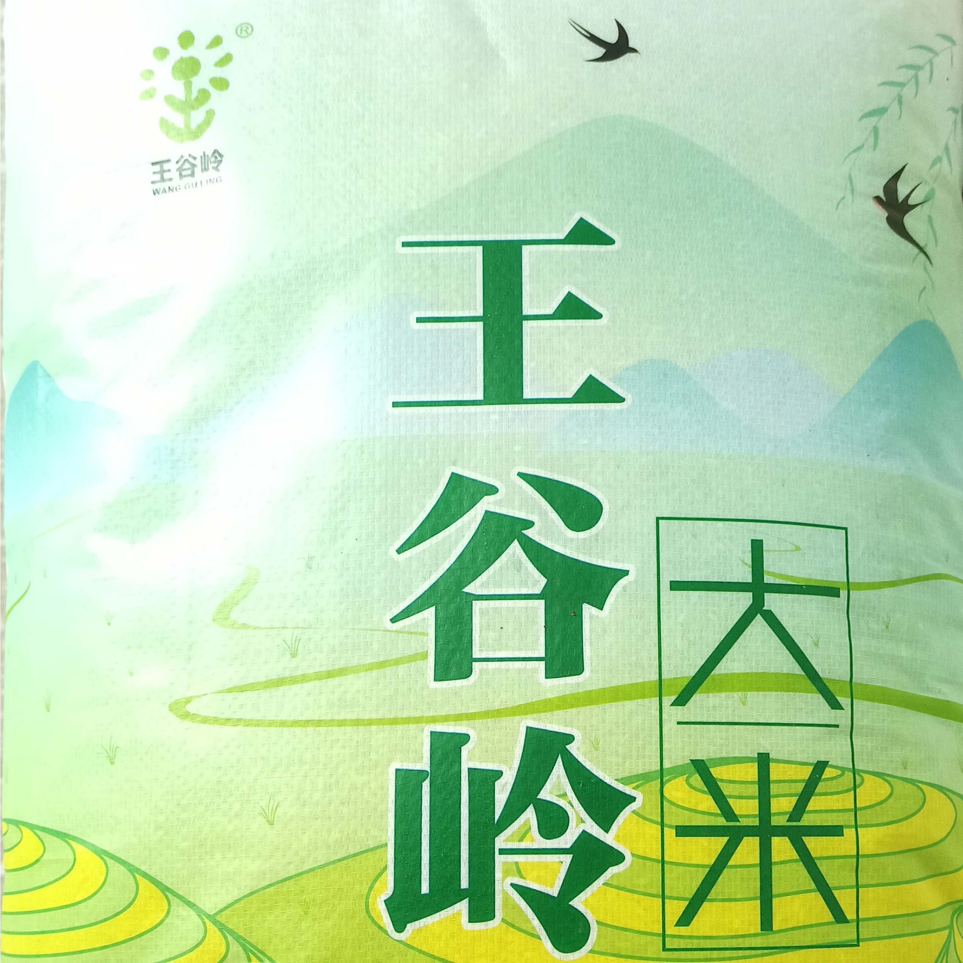 In 2023, rice was 50 pounds of rice, 25 kg of rice, and a grain of rice was distributed.
