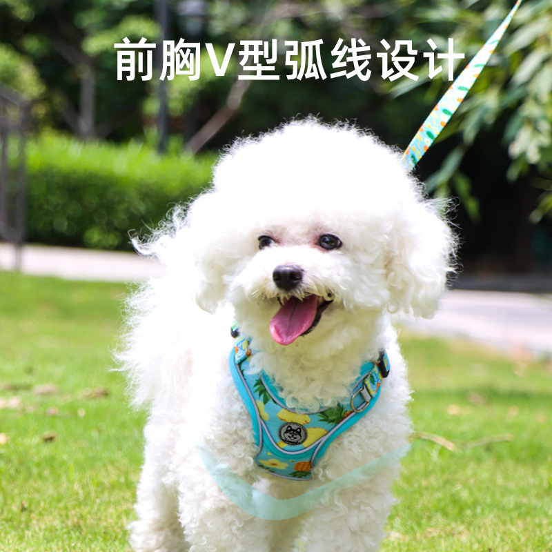 Những con thú nuôi mới với một con chó hồi tưởng lại còn hơn là những con gấu được ghép lại để bảo vệ chúng khỏi con chó kéo.