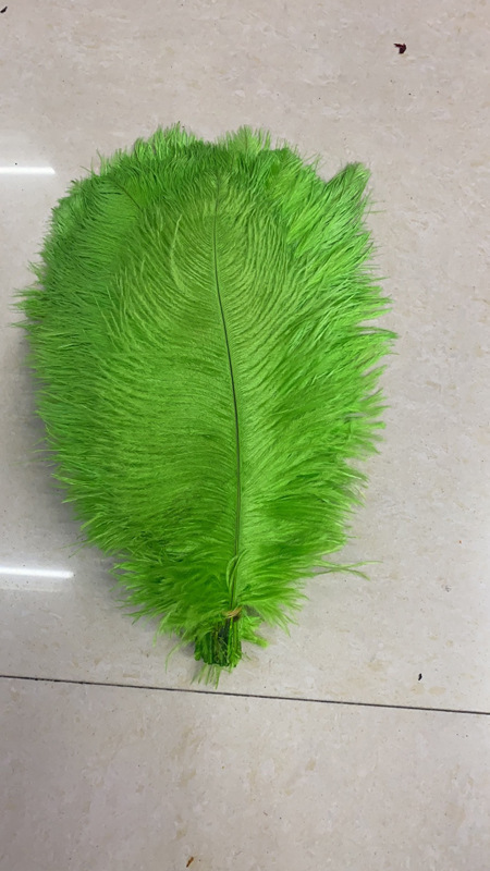 Con đường lông trắng dẫn đến sân khấu cưới trang trí cho lông đà điểu 70-75CM