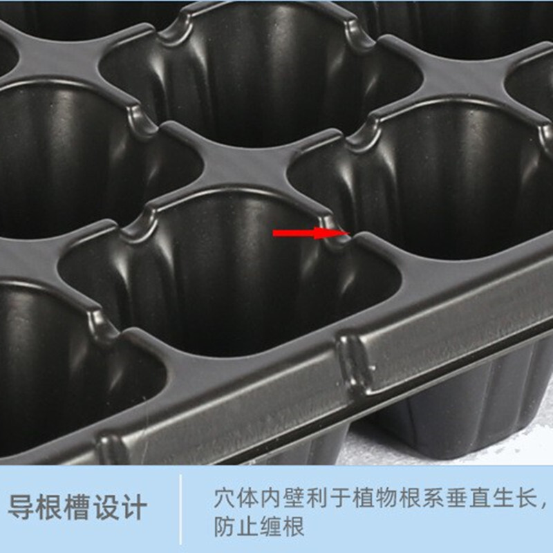 Phân phối phân phối các chất liệu làm vườn cho gia đình với một lượng lớn rau quả dưa hấu, 50 phần trăm của vũng nước.