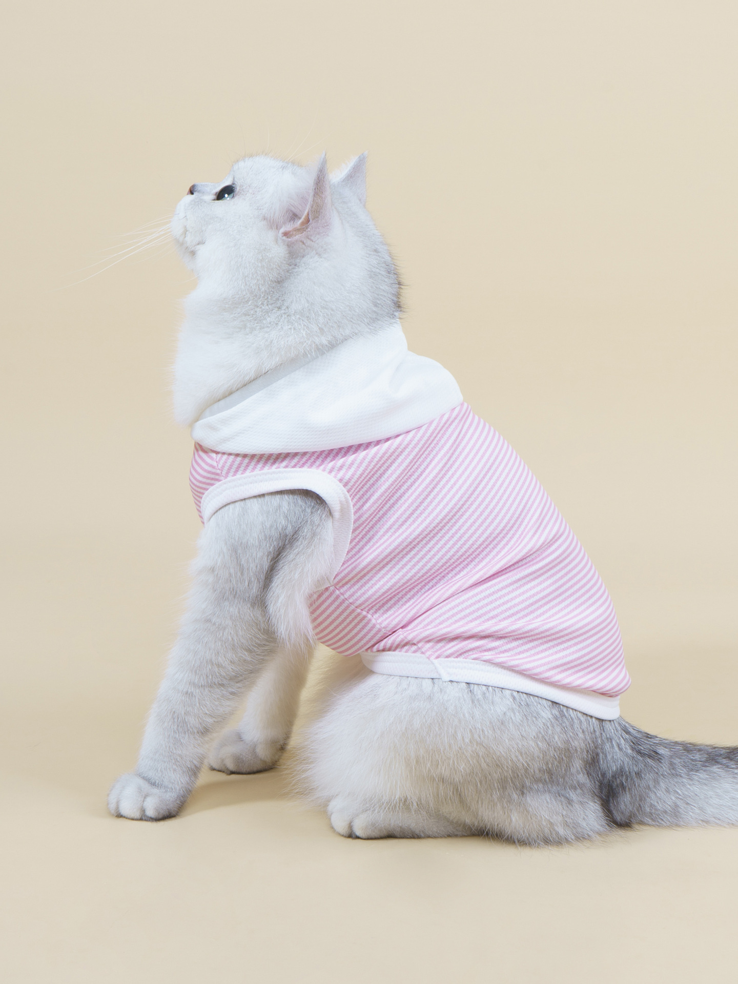 抱猫撸猫大狗小型狗宠物衣服狗狗猫咪通用宠物保暖衣服薄款卫衣