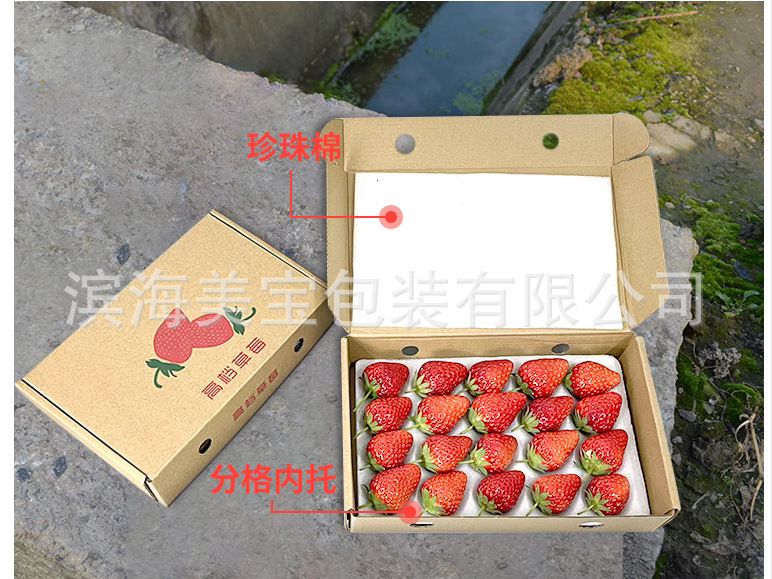 Strawberry 종이 상자 및 농업 포장 상자