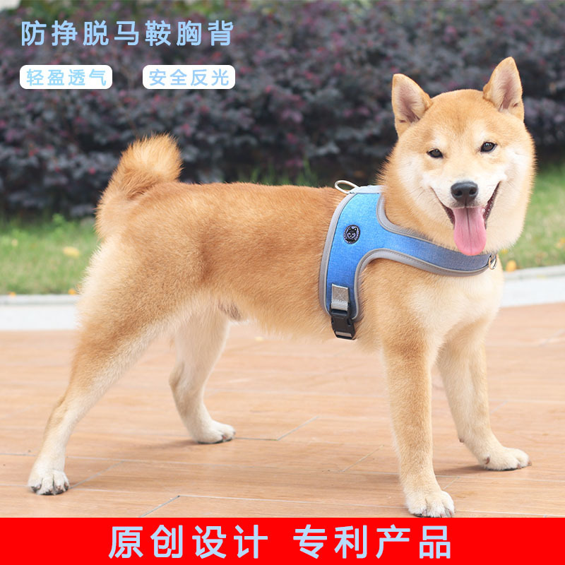 A7 con chó lưng ngựa mặc áo khoác buộc dây thừng để chống đạn qua dây thừng chó, chó con và chó.