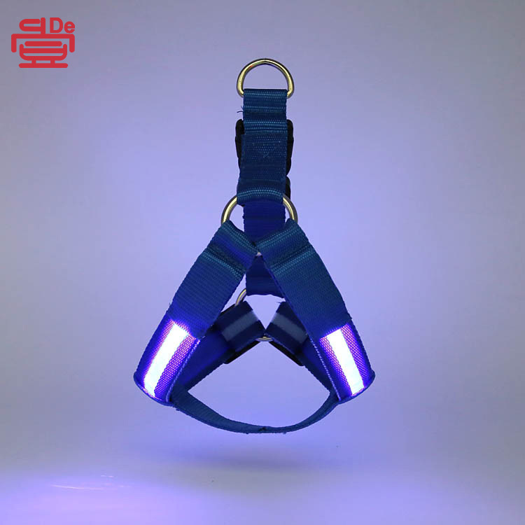 Dây an toàn của chó LED, dây cáp mạng, lông chó.