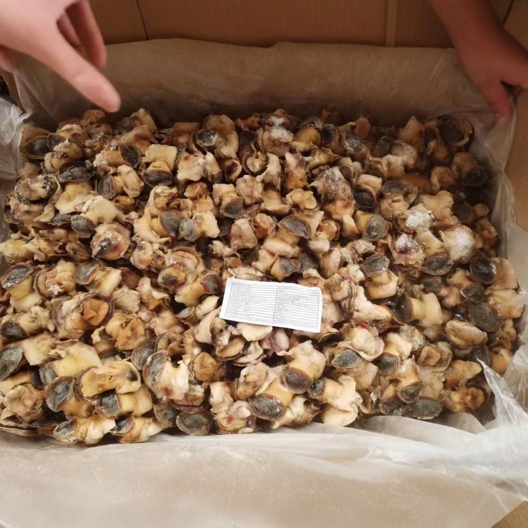 Hoa Kỳ conch conch, một màu vàng đặc, súp conch đông lạnh, nhiều chi tiết khác nhau 4,5 kg*4 gói/box