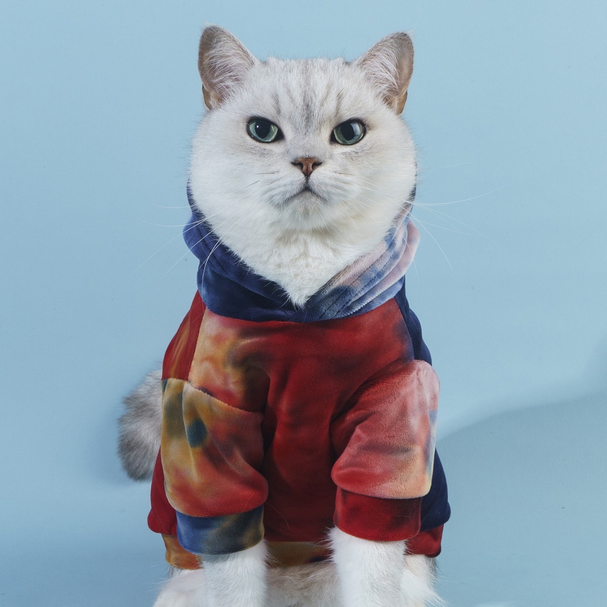 抱猫撸猫大狗小型狗宠物衣服狗狗猫咪通用宠物保暖衣服薄款卫衣