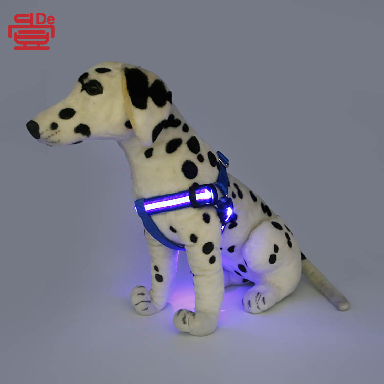 Dây an toàn của chó LED, dây cáp mạng, lông chó.