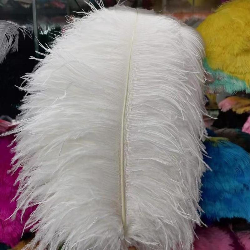 Khách sạn cưới màu, trang trí lông vũ, lông đà điểu, 60-65CM.