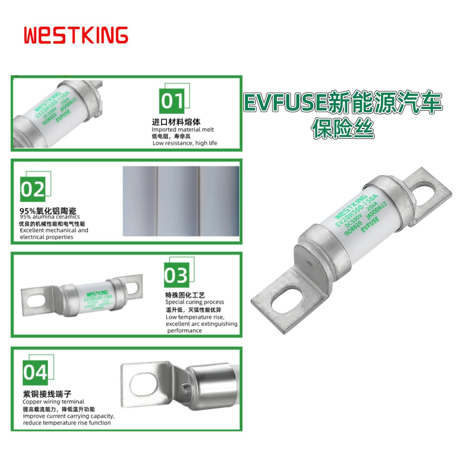 新能源乘用车直流保险丝 - 500VDC 电池包熔断器 EV20H500