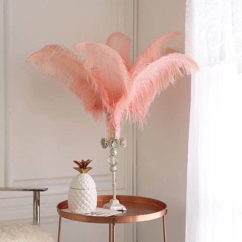 Khách sạn cưới màu, trang trí lông vũ, lông đà điểu, 60-65CM.
