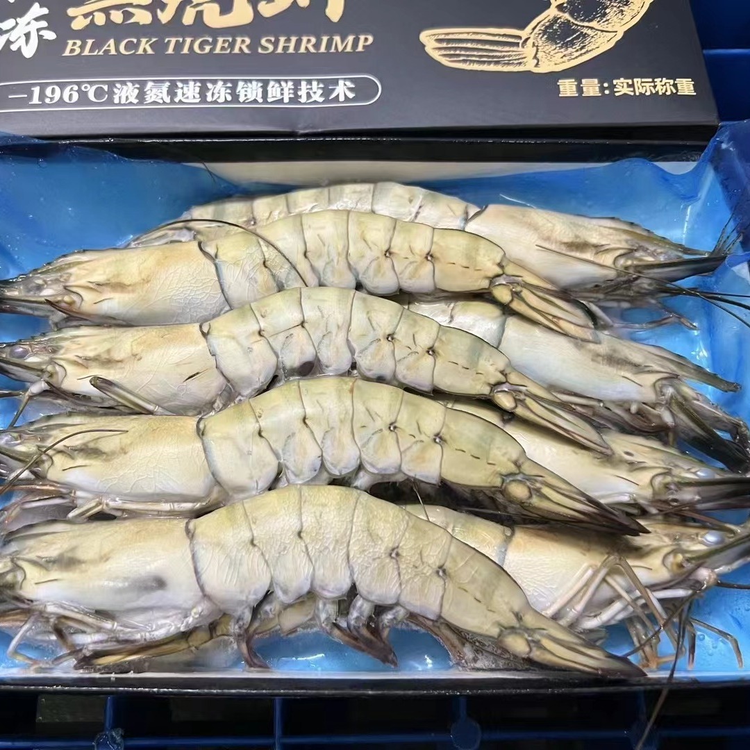 Srimp Srimp Srimp, สดบุฟเฟ่ต์แช่แข็ง กุ้งกุ้งขนาดใหญ่หดตัวบนเหล็กและเหล็ก