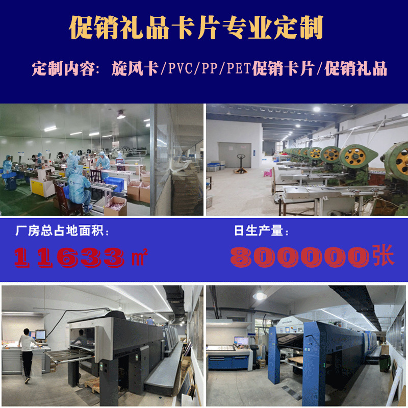 Thẻ kết nối thẻ dẻo có thể tự chế tạo/PVC/PET để quảng cáo thẻ tín dụng