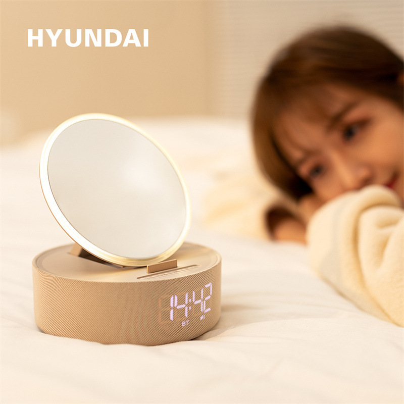 Một cái gương trang điểm đa tầng, hộp âm thanh Bluet răng, một hộp báo động, và một giao hàng cho người chồng.