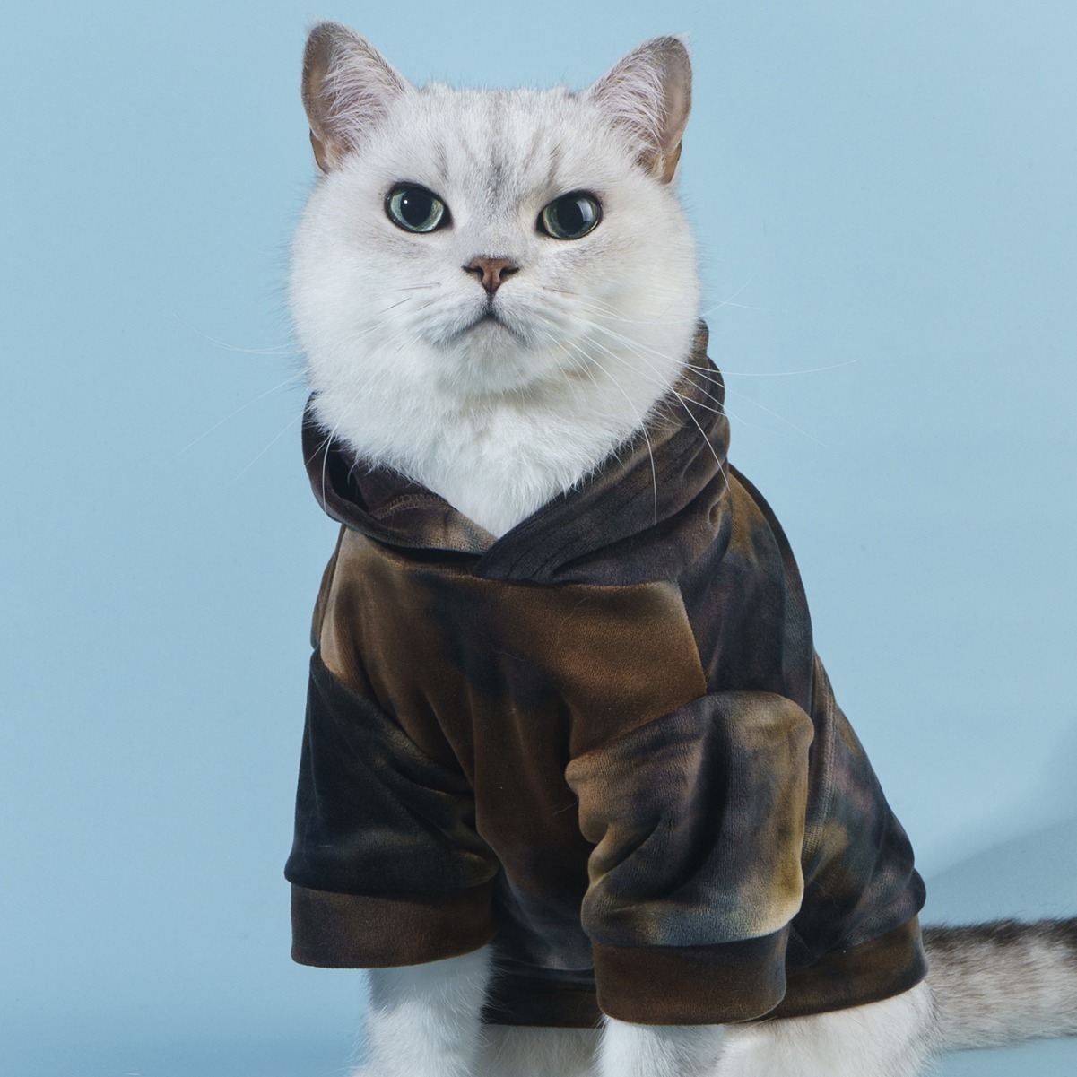 抱猫撸猫大狗小型狗宠物衣服狗狗猫咪通用宠物保暖衣服薄款卫衣