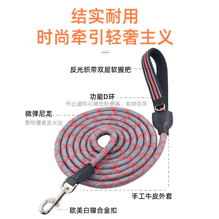 Con chó xếp hàng kéo dây thừng, dây thừng của Labrado ghê tởm nylon, bò-để-từ-từ-cho-cho-đến-cho-đến-l.