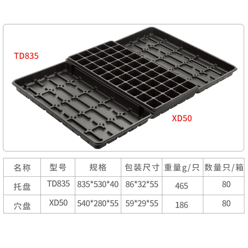 Tiếp thị trực tiếp tại nhà máy ăn trưa khay trẻ em hỗ trợ việc sản xuất hàng hóa loạt XD bởi trẻ em đẻ đặc biệt