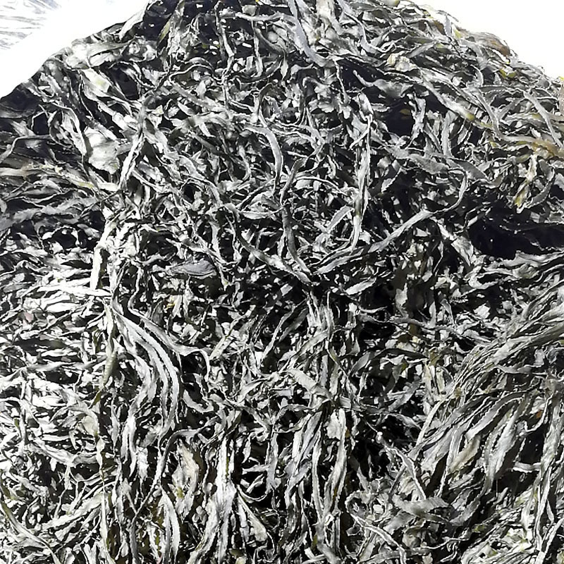 Hải Kỳ. Thành phố làm khô biển mà không có cát "Wendwidth"