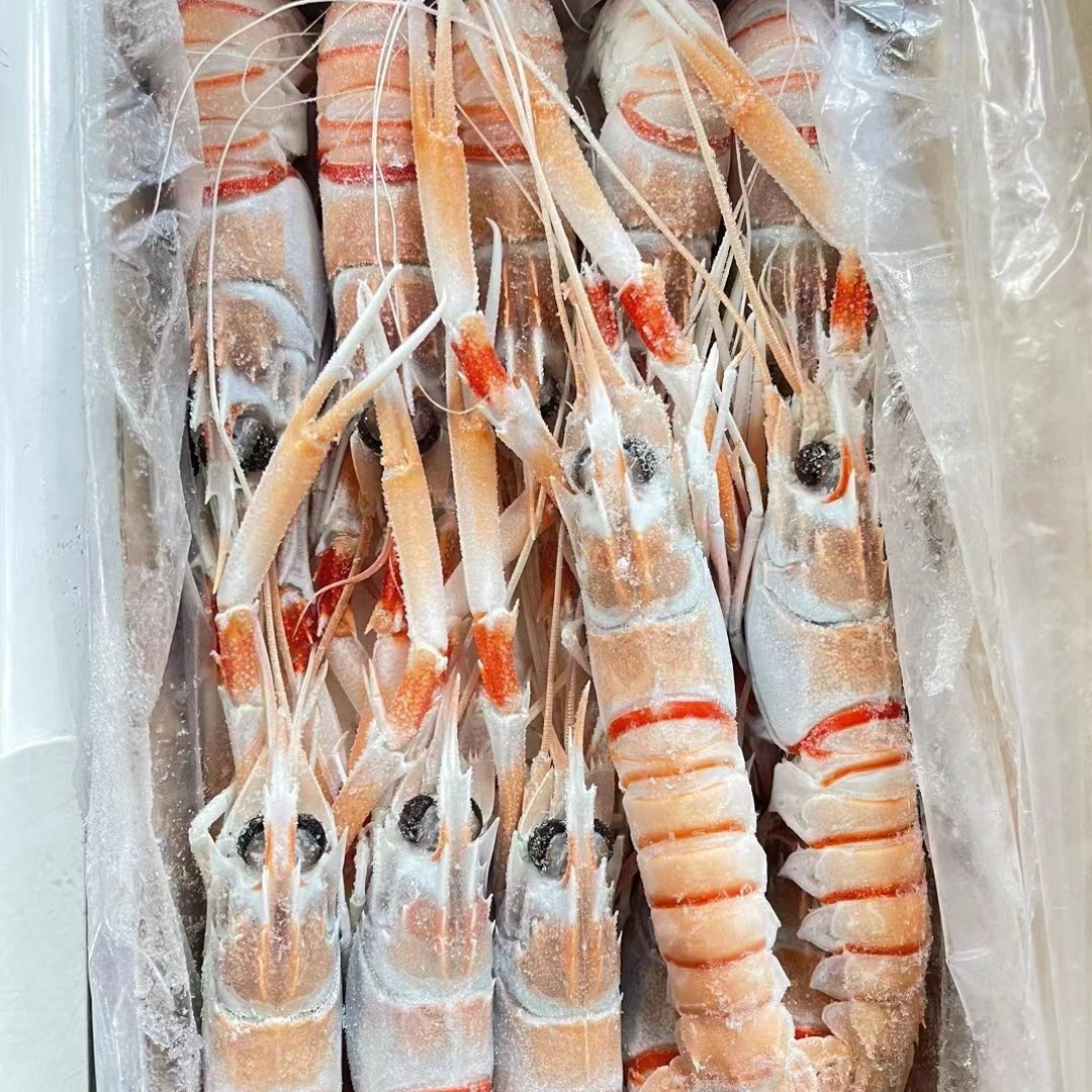 Nam Cực Shrimp, tôm hùm New Zealand đâm tôm hùm cao cấp.