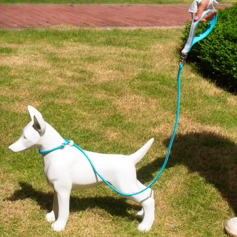 Con chó Amazon kéo theo dây p-line, ngực chống nổ của chó nhỏ, thú cưng, dây thừng chó.