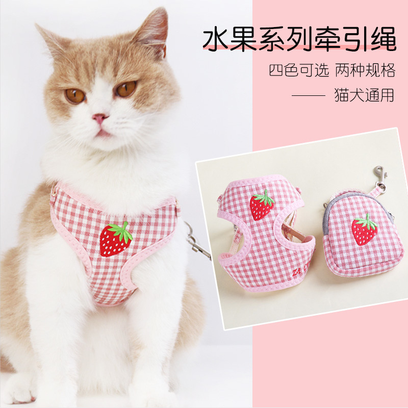 Một con chó rừng Amazon mới đến từ da đen đến da đen.
