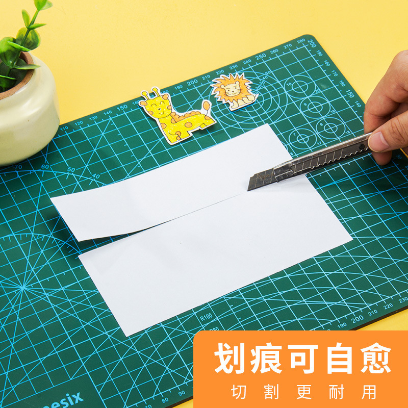A4 với nhiều sinh viên A5 hình ảnh.