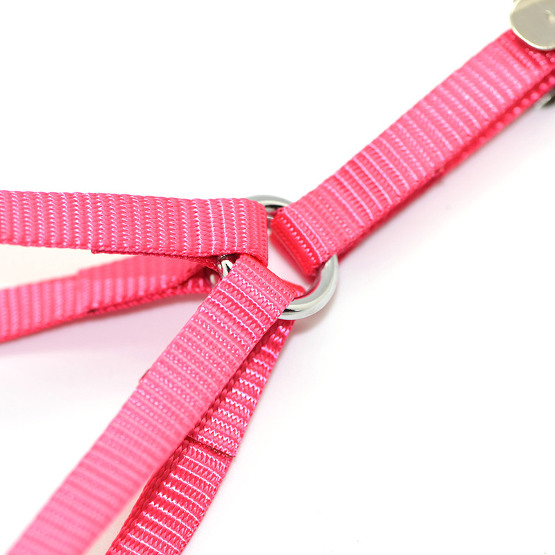 Bán trực tiếp thú nuôi. 1. 1. 5 nylon cho ngực, dây kéo thú cưng, kích cỡ khác nhau.